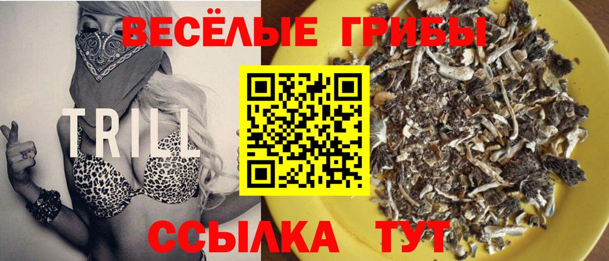 Галлюциногенные грибы мицелий Реж