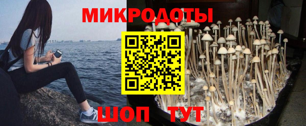 Реж  Галлюциногенные грибы Psilocybine cubensis  Псилоцибиновые грибы Psilocybine cubensis  Вход с VPN 
